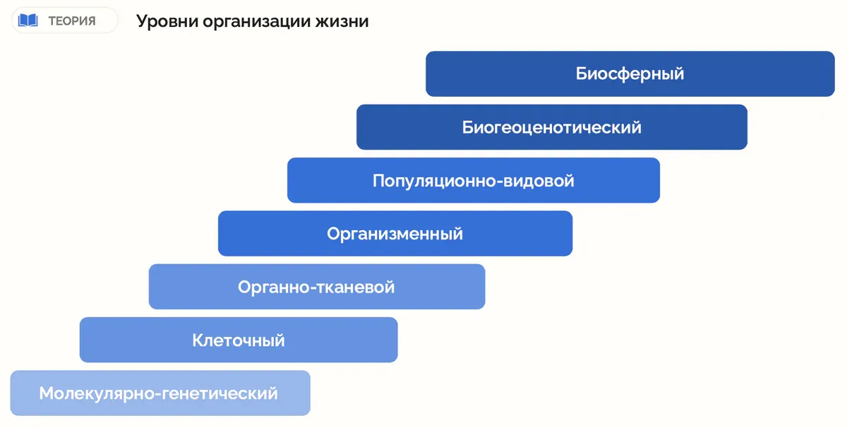 Образовательная инфографика: пример инфографики 26